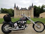 Harley-Davidson FXST Softtail Custom - Harley-Davidson Motorräder in Lübeck