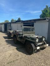 Jeep Willys - Jeep Willys Oldtimer mit Benzin-Antrieb