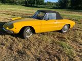 Alfa Romeo Spider Duetto - Alfa Romeo: Duetto
