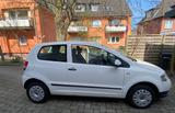 Volkswagen VW Fox 1.2 -TÜV bis 9-27  - weiße Volkswagen Fox