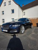 Jaguar XF 25t AWD 250PS Portfolio Automatik Portfolio - Jaguar XF X250
