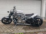 Harley-Davidson VRSCA V-Rod  - HARLEY-DAVIDSON 2005
