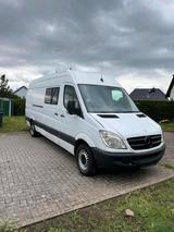 Mercedes-Benz Sprinter 313cdi maxi - Mercedes-Benz Sprinter aus 2009: 313 Cdi