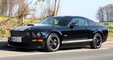 Ford Mustang Shelby GT - Ford: Shelby