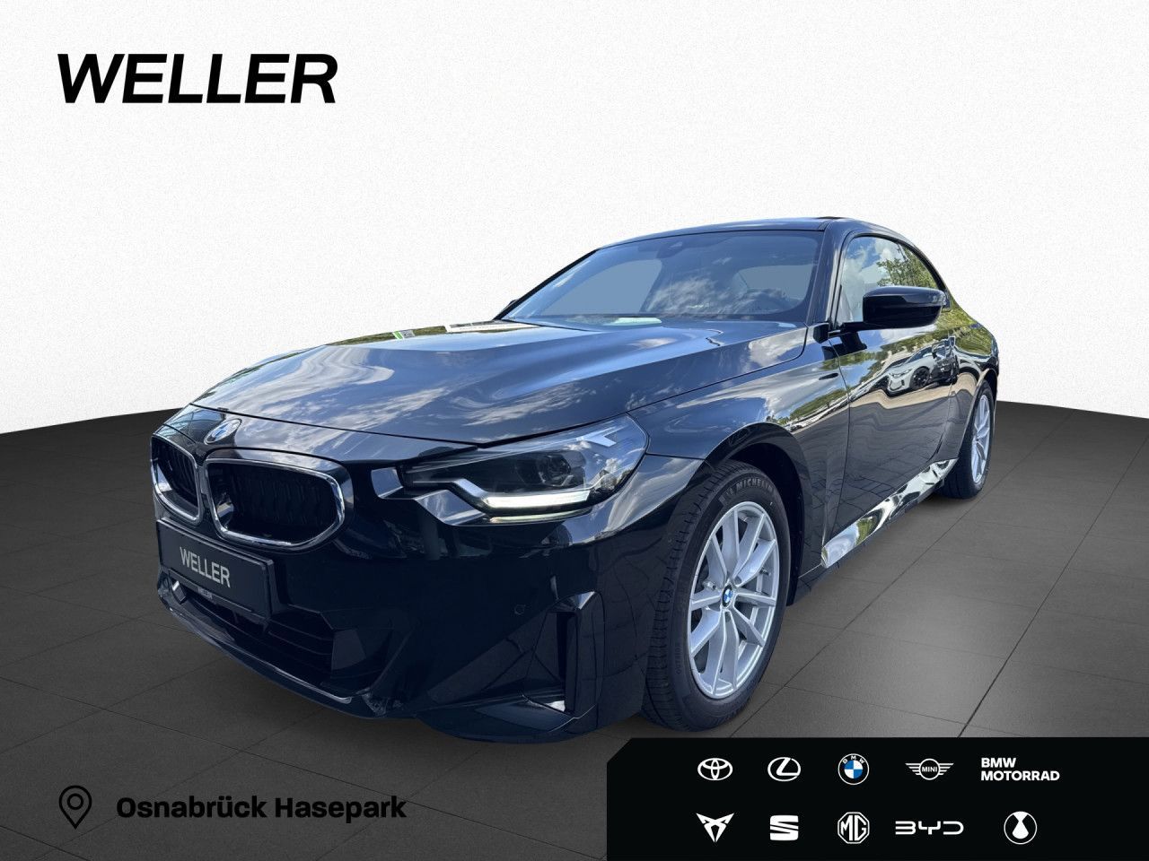 BMW 220i Coupe LiCoPro GSD PaAs DrAs HiFi SHZ Alarm