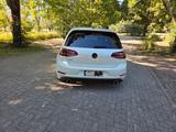 Volkswagen Golf 7 GTI DSG Performance  - Volkswagen Golf: G7