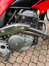 Honda FMX-650 - HONDA FMX 650