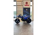 Yamaha PW50 - YAMAHA PW 50