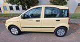 Fiat Panda - Fiat Panda Gebrauchtwagen in Frankfurt