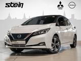 Nissan Leaf Tekna LED Navi Abstandstempomat 360Grad Kam - Nissan Elektroautos