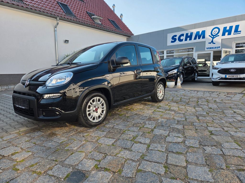 Image of Fiat Panda