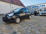 Fiat Panda Base - gebrauchte Fiat Panda aus dem Jahr 2022