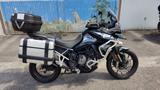 Triumph Tiger 900 GT Pro - TRIUMPH TIGER 900 GT PRO