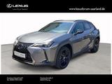 Lexus UX 250h 2,0 Hybrid Style+ Edition - Lexus aus 2021
