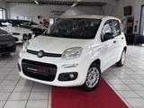 Fiat Panda 1,2 Easy°Klima°PDC Hinten° - gebrauchte Fiat Panda aus dem Jahr 2017