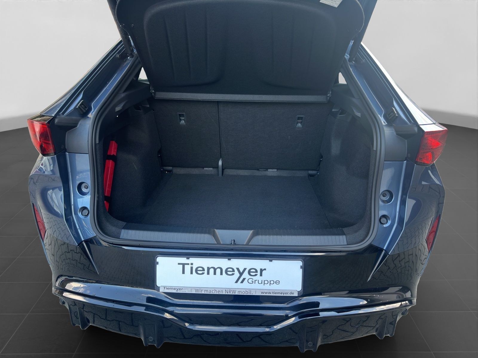 Cupra Tavascan - Bild 17