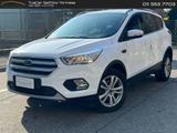 Ford Kuga 1.5 tdci ST-Line Business s&s 2wd #780 - Ford Kuga: 7