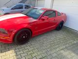 Ford Mustang - Ford Mustang Gebrauchtwagen in Köln