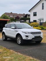 Rover Range Rover Evoque 2.2 Diesel - Rover: Geländewagen