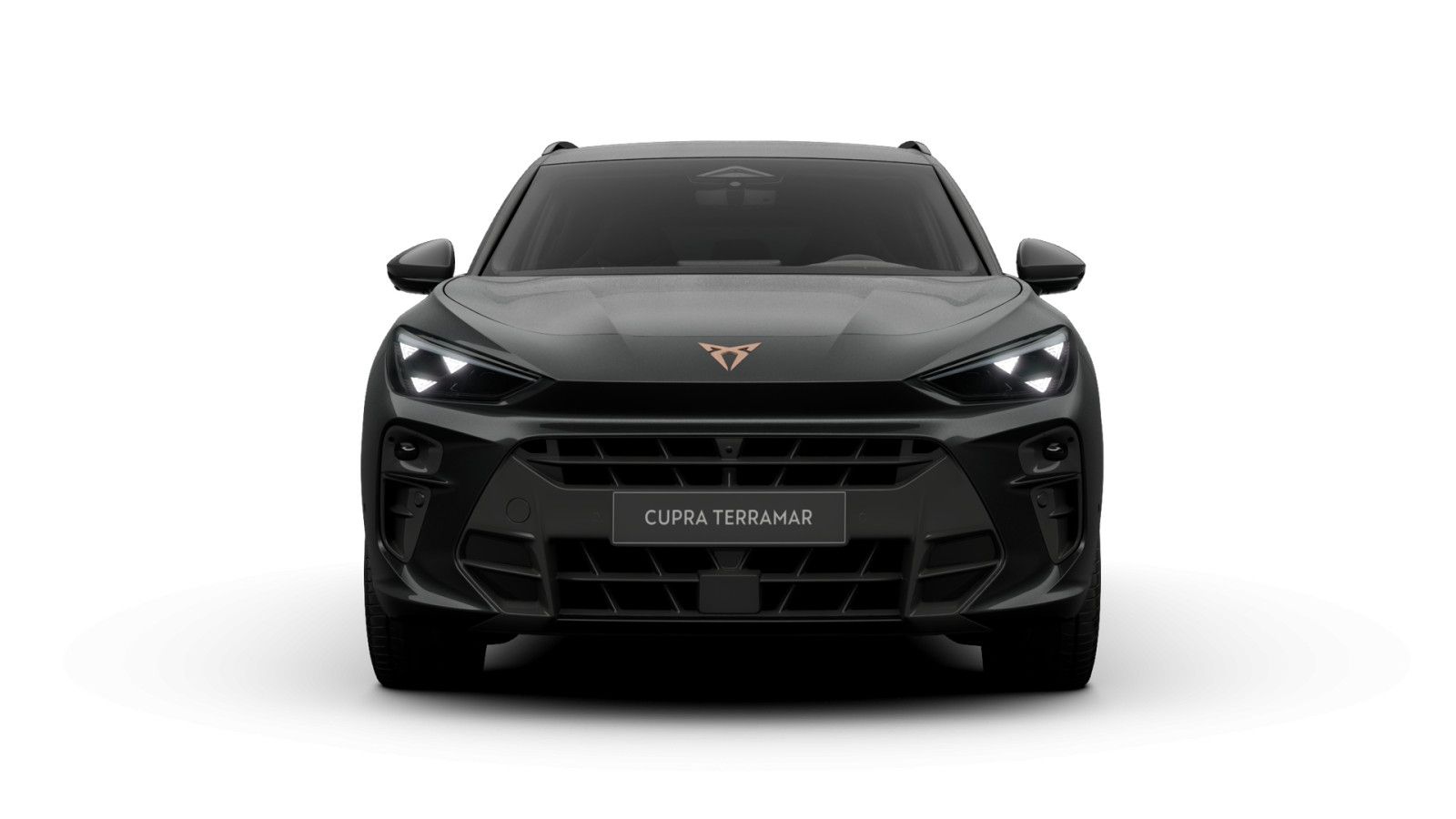 Cupra Terramar - Bild 3