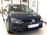 Volkswagen Golf Variant Business 1.6 TDI 105 CV  - Volkswagen: V10 TDI