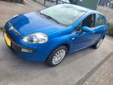 Fiat Punto 1.2 8V POP zu verkaufen - Fiat Punto in Essen