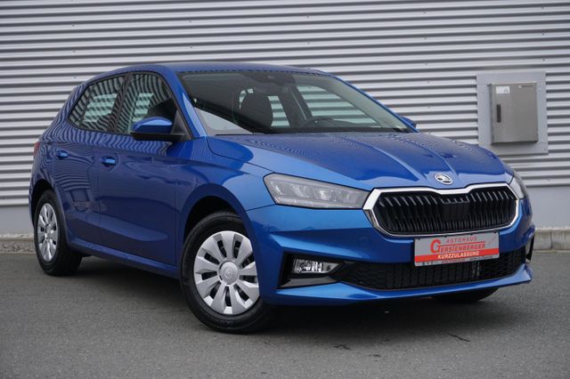 Skoda Fabia Selection 1.0 TSI LED/Klima/Smart-Link