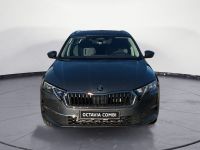Skoda Octavia - Vorschau Bild 3