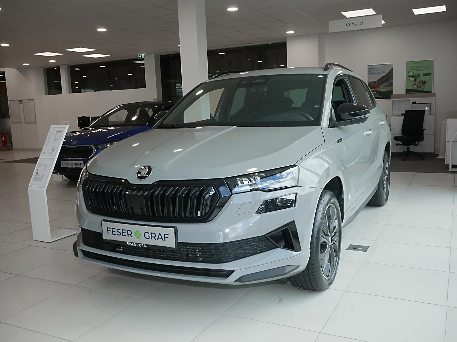 Skoda Karoq - Bild 11