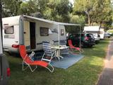 Wilk S4 530 MS - Wilk S4