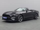 Ford Mustang GT Cabrio V8 California Special/Magne - Ford: Cabri