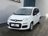 Fiat Panda Hybr.KLIMA*PDC*Tempom*DAB*MFL*Ass - Fiat Panda Gebrauchtwagen in Braunschweig