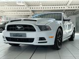 Ford Mustang 3.7l V6 LPG - mit LPG-Antrieb: Sportwagen