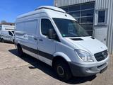 Mercedes-Benz Sprinter 416 AUT. Kühlkastenwagen , Kamera, AHK - Offers matching your search criteria