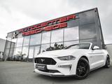 Ford Mustang Cabrio 5.0 Ti-VCT V8 GT Aut. Premium 3* - Ford Mustang in Hagen