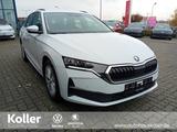 Skoda Octavia 1.5 eTSI DSG Selection Facelift Navi ACC - gebrauchte Skoda Octavia mit Facelift