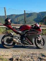 Yamaha YZF  R125 mit Akrapovic-Auspuff - YAMAHA YZF R1M