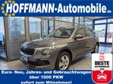 Skoda Kamiq Selection Voll-LED,SHZ,PDC+Kamera,Climtr. - Skoda Gebrauchtwagen in Berlin