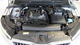 Skoda Scala 1.0 TSI Drive (NW) ABS Fahrerairbag ESP ZV - Skoda Scala NW1