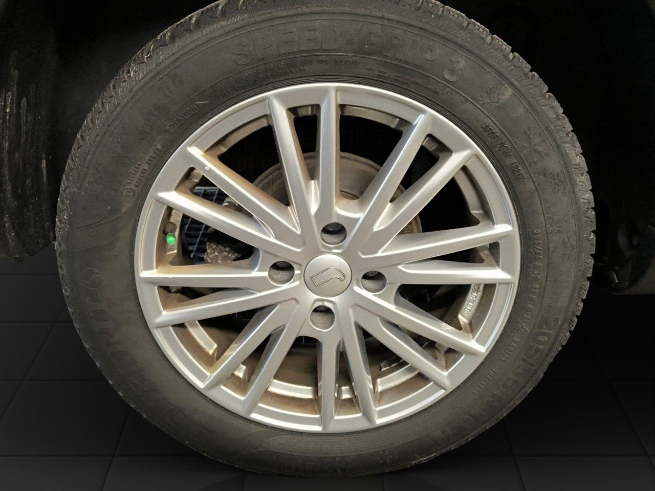 Fahrzeugabbildung Citroën C4 Cactus Shine Panoramadach Kamera uvm.