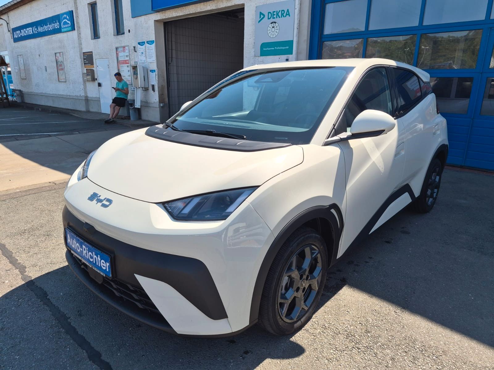 BYD DOLPHIN SURF