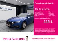 Skoda Octavia - Vorschau Bild 1