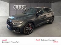 Audi SQ5 - Vorschau Bild 1