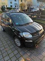Fiat Panda mit Tüv - Fiat Panda Gebrauchtwagen in Mannheim