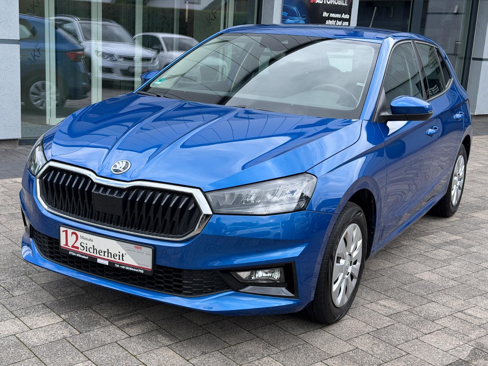 Skoda Fabia 1.0 TSI Selection*R-Kamera*Apple Car Play*