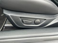 Fahrzeugabbildung Ford Mustang 5.0 Ti-VCT V8 GT *ACC*B&O*LEDER*LED*19"