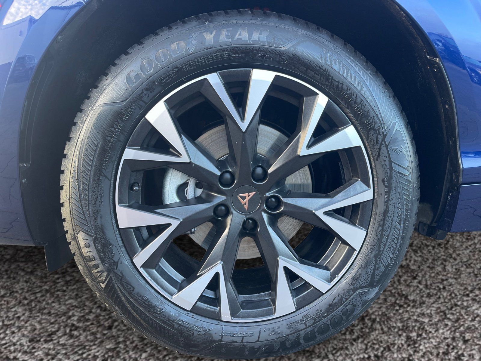 Cupra Terramar - Bild 7