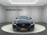 Mazda CX-30 Selection 2WD°Navi°Sitzheizung°Rückfahr-K° - Mazda CX-3 SUV