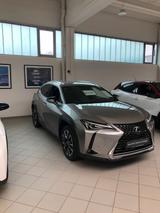 Lexus UX 250h F Sport Design F Sport Design - Lexus: Sport