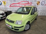 Fiat Panda *Tüv & Service NEU* - Fiat Panda aus 2003